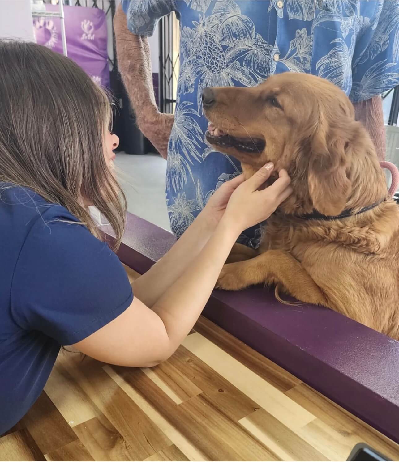 Putting Pets First