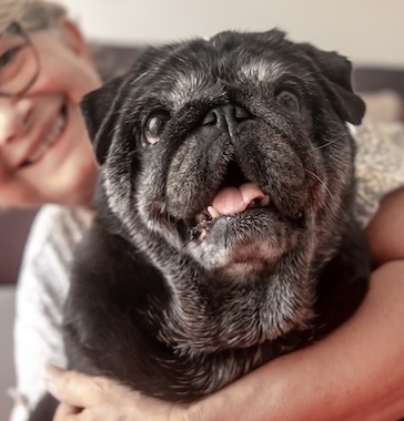 SoCal_Pet_Vets_Preventive_Care2