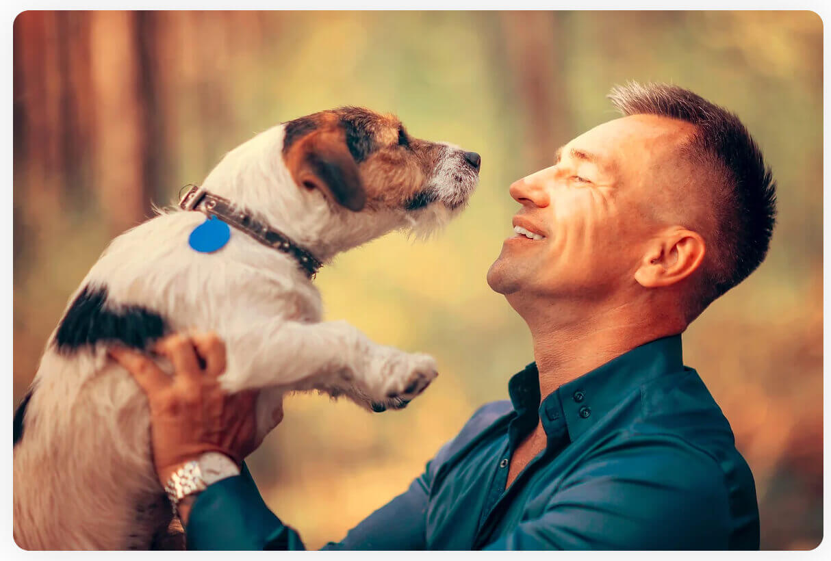 SoCal Pet Vets dental 3