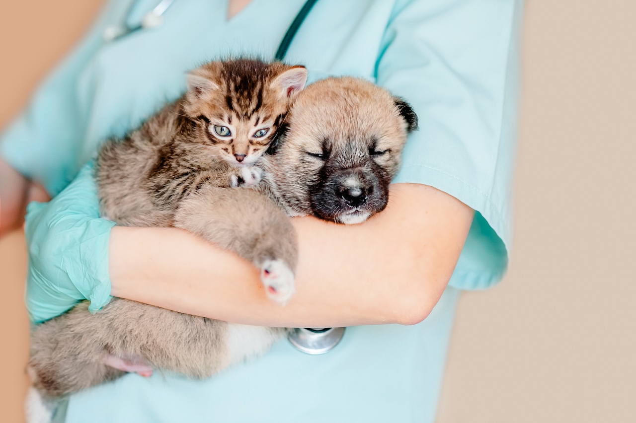 SoCal_Pet_Vets_puppy_care