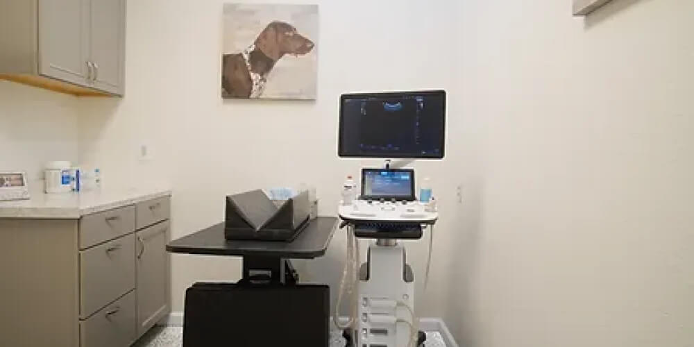 Socal pet vet Diagnostics 2 Socal pet vet Diagnostics 2