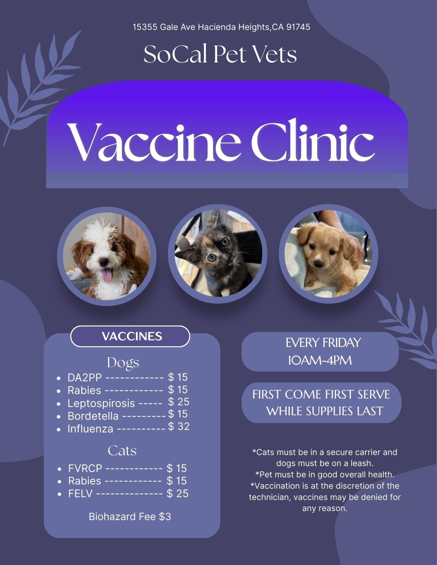 Vaccine Clinic Pricing