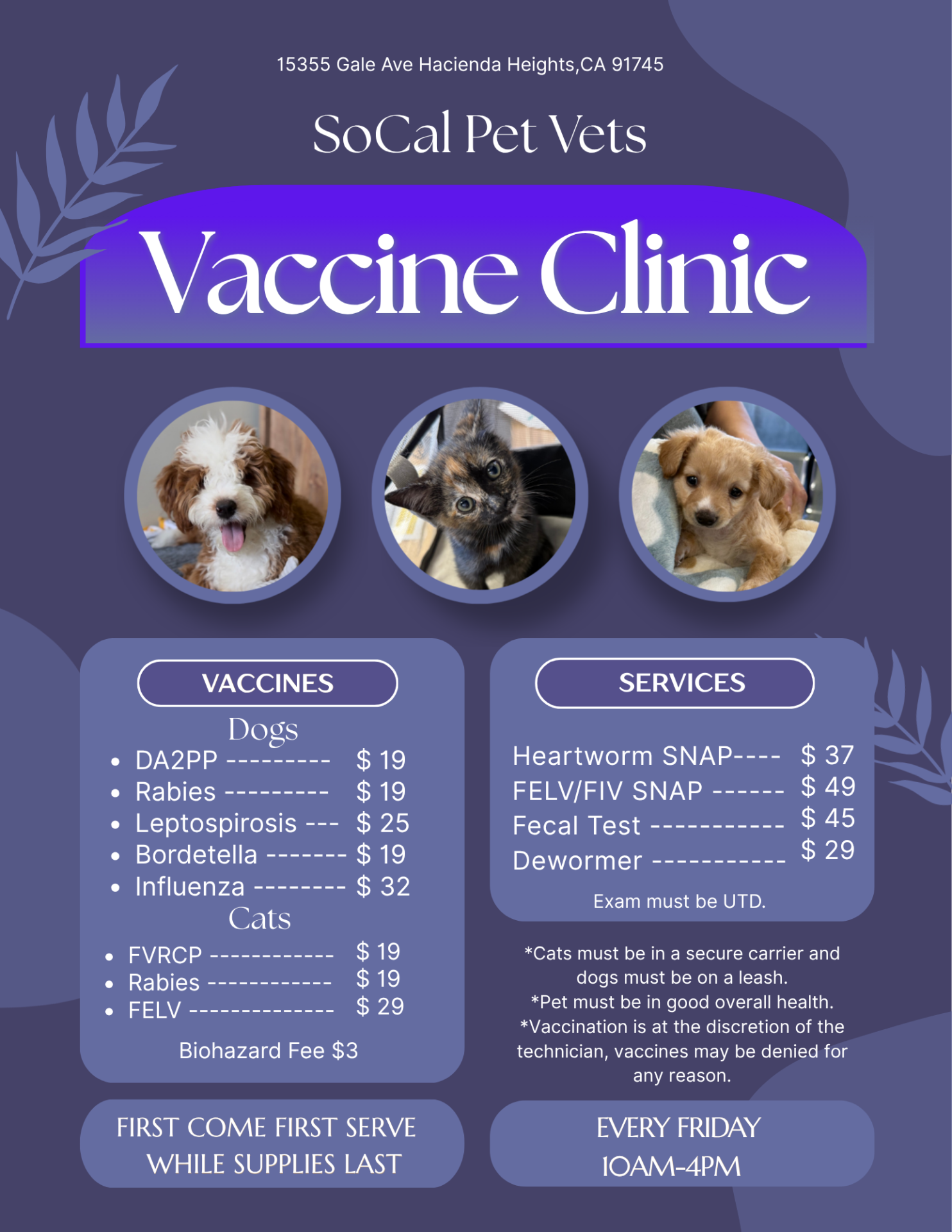 Vaccine Clinic Pricing