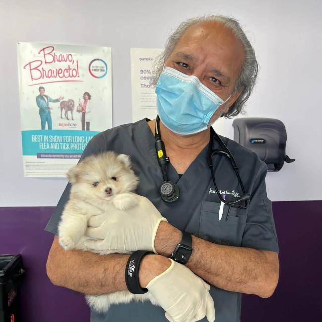 Dr. Jasvir Mattu